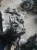 c76b3584cba6dfa58ec77668b6ebcbd8.jpg