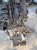 4bdd1947f1082ba76d8eb65924cb4e67.jpg