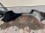 fa52202f25ebc2ccb367675c3a7df5e0.jpg