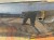 b0838bc256ed85da057b9d201ed29667.jpg